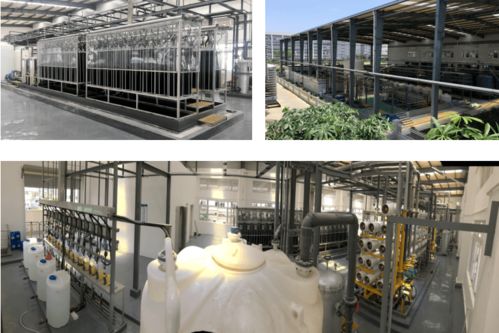 全國煤炭與煤化工環境治理及保護大會暨生物化工產品技術研發研討會預通知